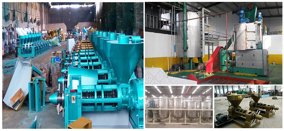 Factory Supply Edible Oil Extraction Machine