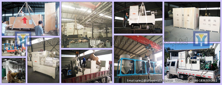 10--100 Tons per day sunflower oil extraction machine