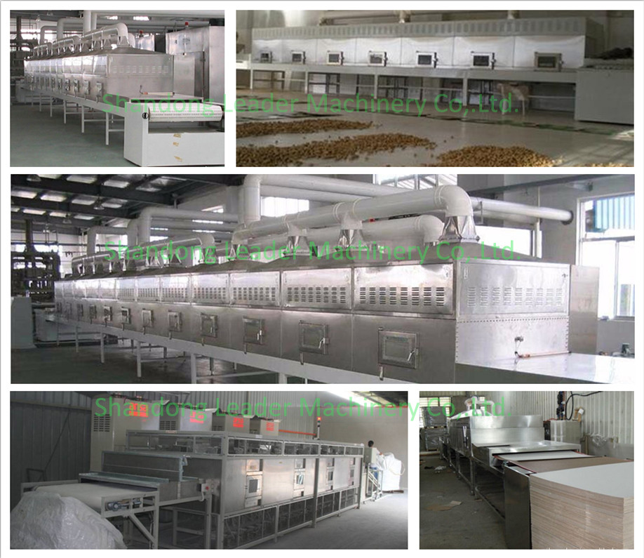 Industrial Mesh Belt Fig Sterilization Drying Microwave Oven