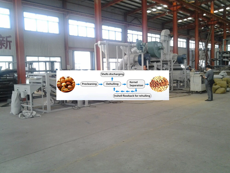 electric heat hot air circulation drying oven 200kg/batch for medicine soup