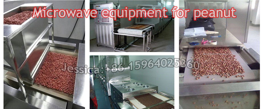 Hot Selling Industrial Grain Microwave Curing Equipment