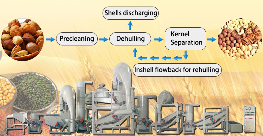 stainless steel automic hazelnut dehulling equipment/shell breaking machine/almond dehulling and separation machine