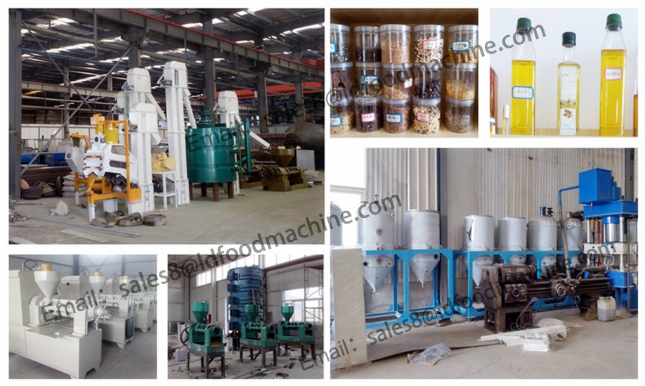 China manufacturer and High quality oil extraction equipment