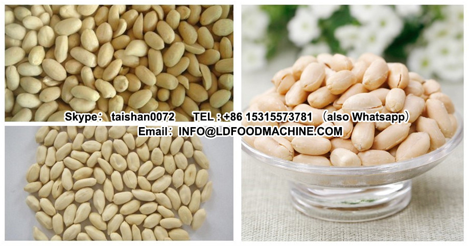 reliable quality manufacture for blanched peanut CE ISO approved