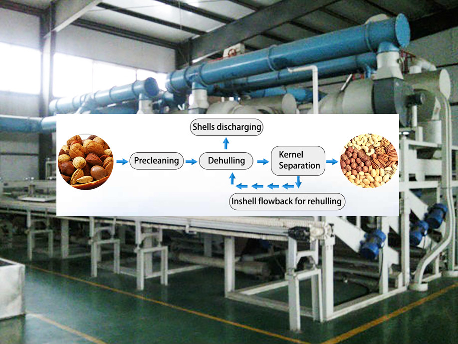 1000kg/h Coffee/Oat Almond huller machine