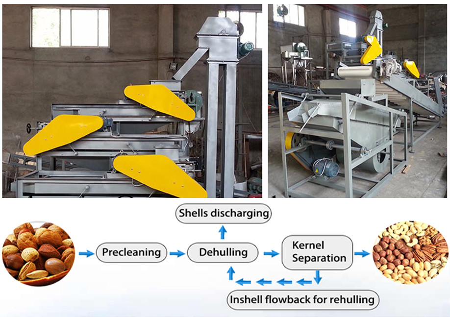 Cold & Hot Processing peanut, black seed, sunflower, coconut, olive palm oil press machine