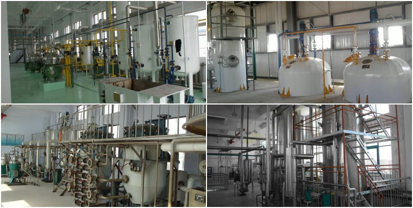 6YL-120RL rice bran oil extraction machine