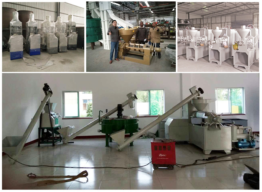 Small Palm Oil Refinery Machine Pressing Palm Coconut Oil Press Machine Supply