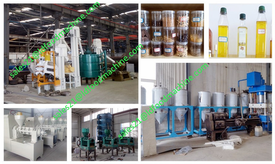 durable seed oil press household/ Full hydraulic olive oil cold press oil machine