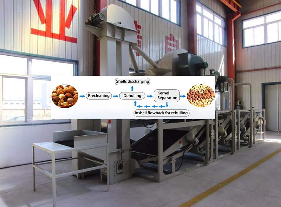 Best quality almond seed remover/apricot seed getting machine/almond shell separating machine 0086-15981835029