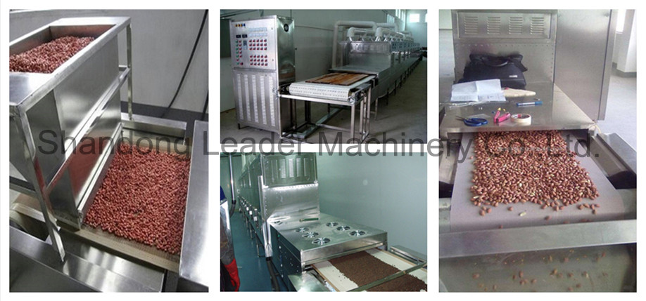 continuous microwave drying machine for fruits and vegetables