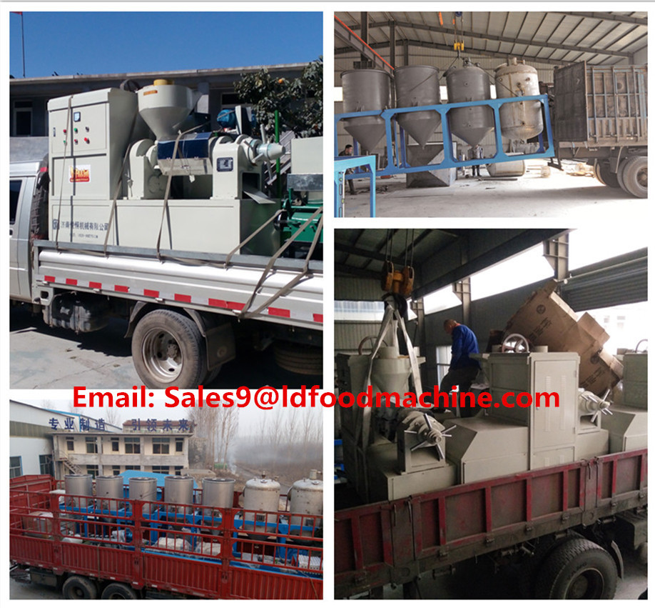 LD good manufacturer with experiences of crude palm oil/mini oil refinery machine