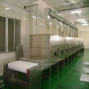 Big capacity continuous microwave nuts heating and roasting equipment for the cahsewnut peanuts