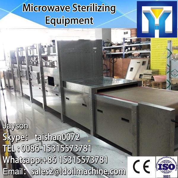 Microwave fast food/ready meal sterilizer machinery-Fast food sterilization equipment #2 image