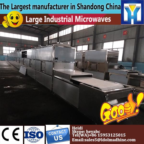 tunnel belt preserved fruits drying and sterilizing machine #1 image