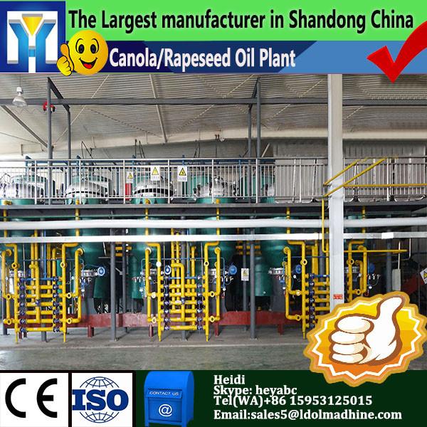 China Top 10 palm oil machine, palm oil processing machine #1 image