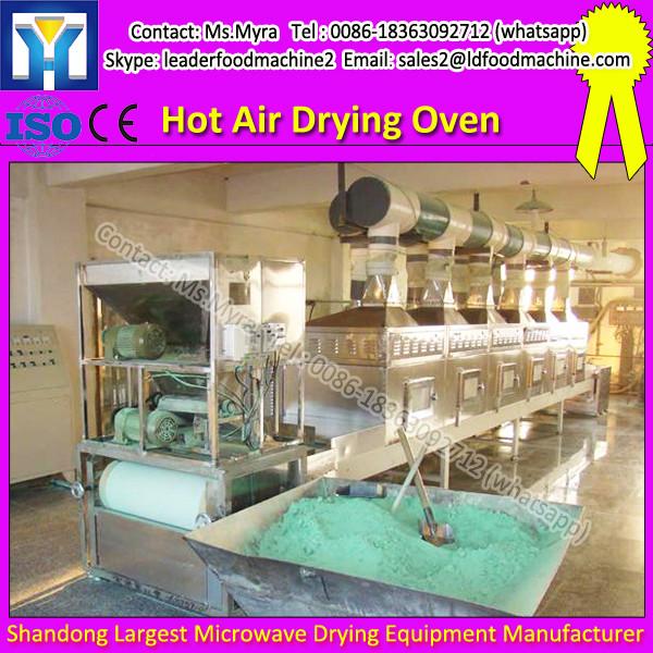 Fruit Vegetable Drying Machine/Drying Oven For Fish Meat #1 image
