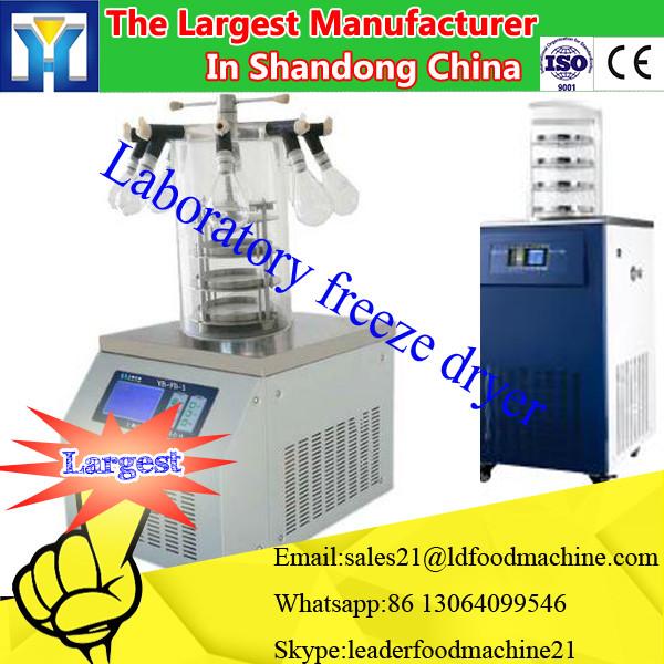 Laboratory Vacuum Lyophilizer/Freeze Dryer for Food Industrial #1 image
