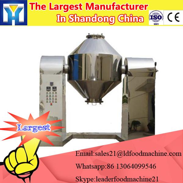 Industrial Fruit Chips Microwave Dryer/Drying Machine #3 image