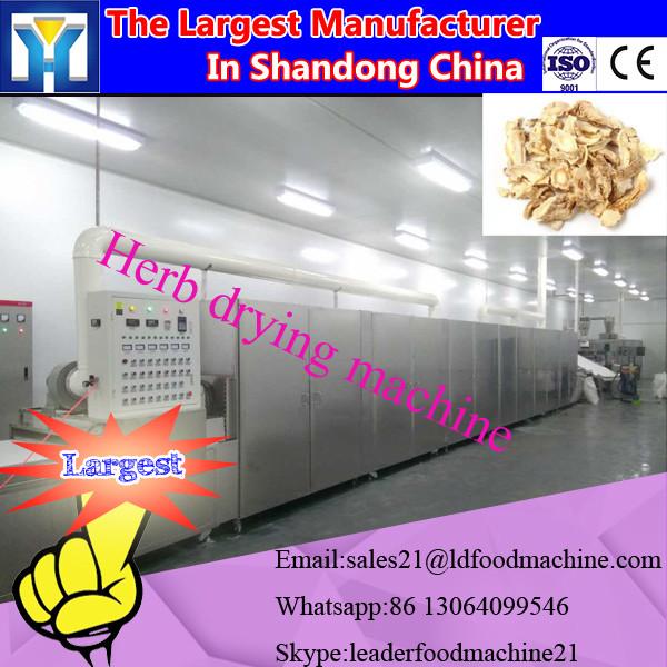 Industrial Fruit Chips Microwave Dryer/Drying Machine #1 image
