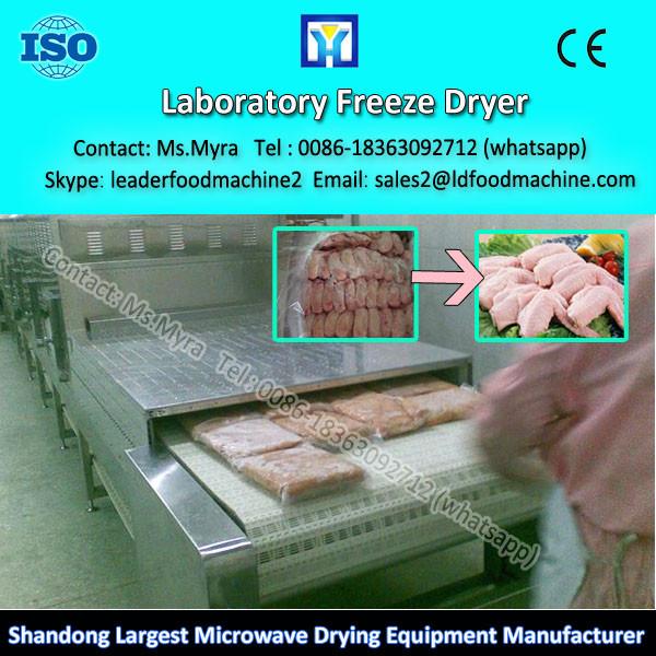 Large Mulit-Function Meat Vacuum Freeze Drying Machine #1 image
