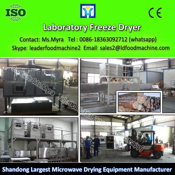 Wholesale High Efficiency Industry Food Freeze Dry #1 image
