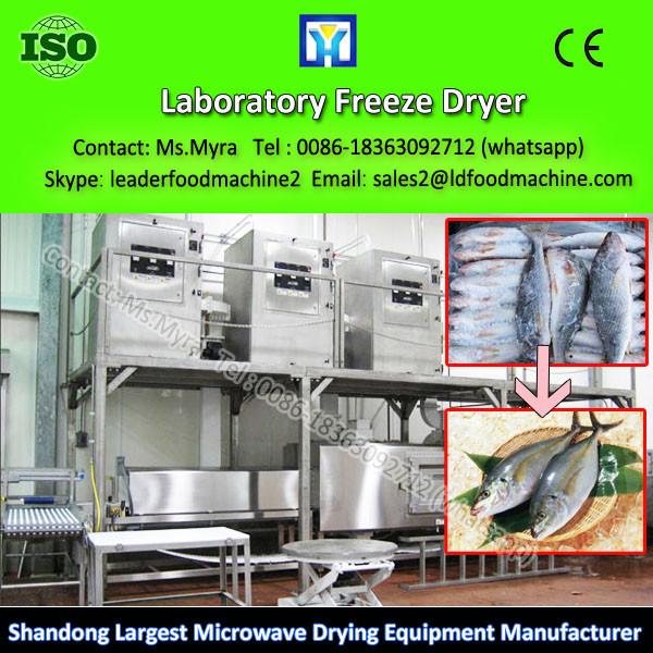 Food Laboratory lyophilizer / Industrial freezer dryer /Fruit freeze dryer #1 image