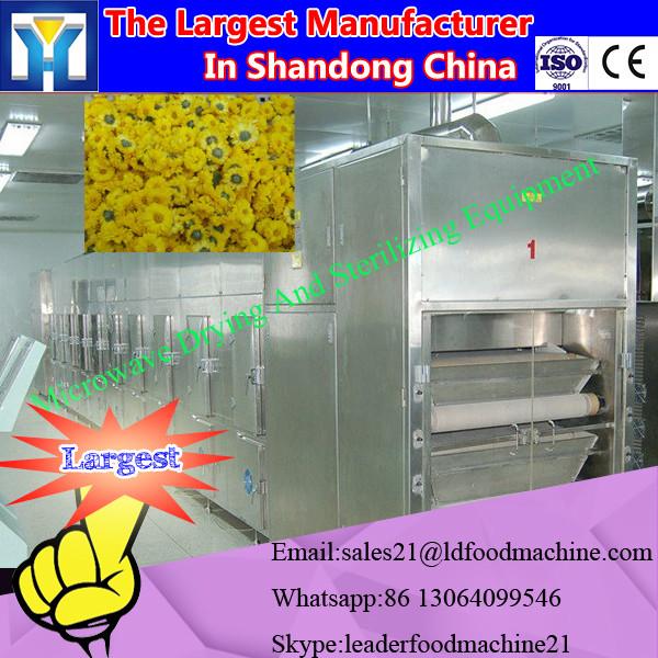 Industrial Fruit Chips Microwave Dryer/Drying Machine #2 image