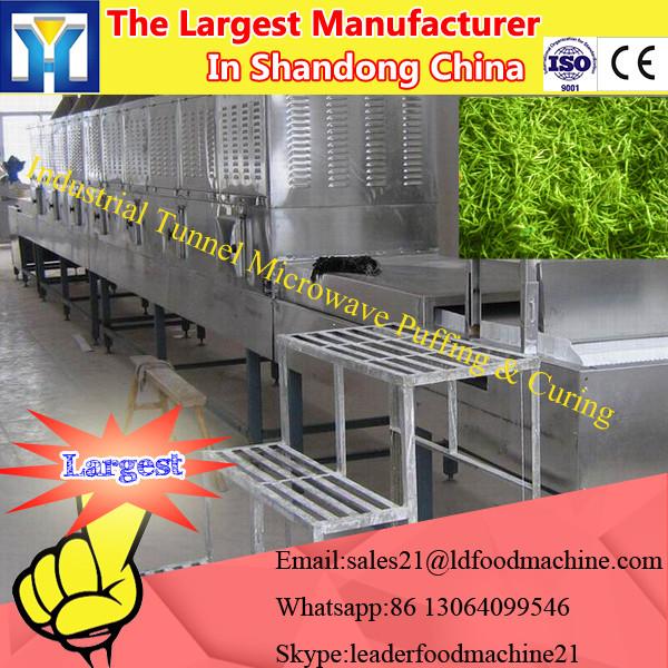 Efficient CE &amp; ISO approved Vacuum freeze dryer with LCD display dryer machine sale for food vegetable fruit #2 image