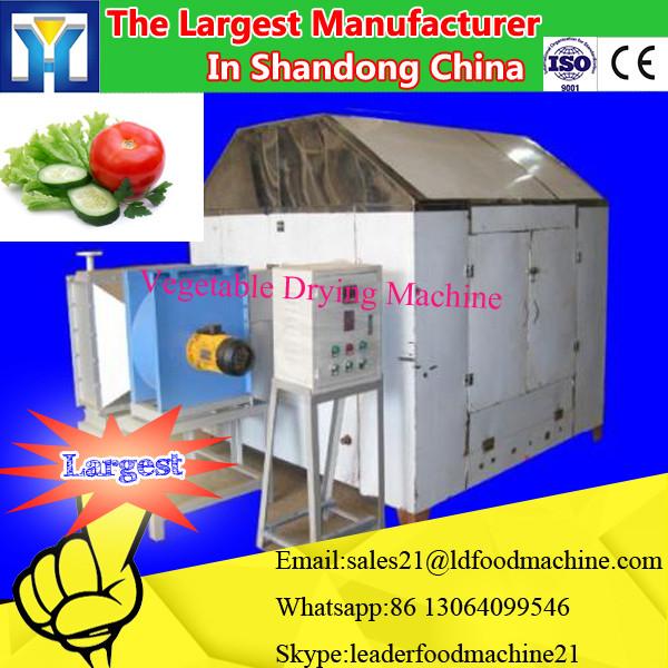 Fruit lyophilizer mini freeze dryer in Fruit &amp; Vegetable Processing Machine #3 image