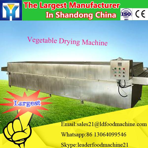 Laboratory Freeze Dryer fruit vacuum freeze drying machine made in china #1 image