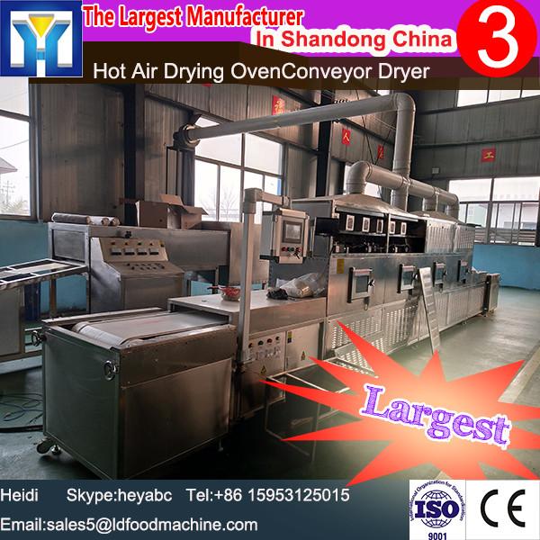 Agricultural food drying machine/hot air dry tomato processing equipment #1 image