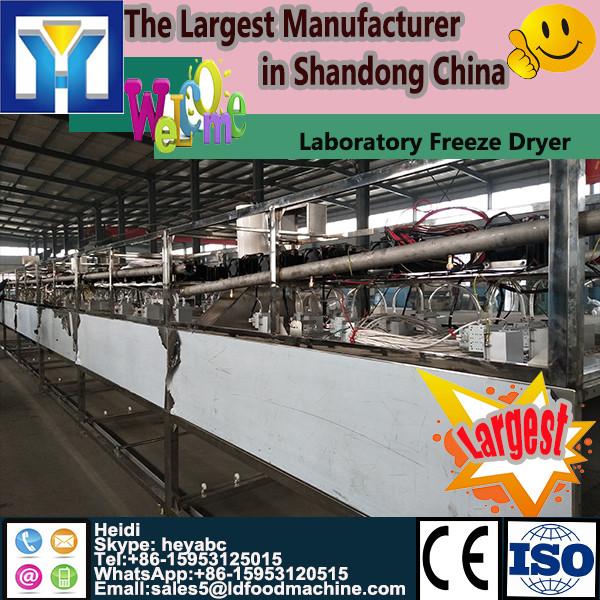 Electric Laboratory Industrial Custom Freeze Drying Equipment Prices #1 image