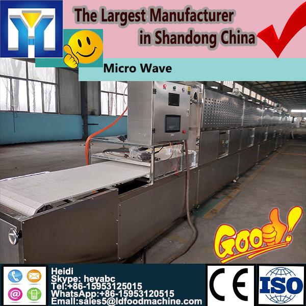 High efficient automatic tunnel conveyor microwave dryer #1 image