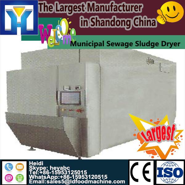 Top quality mesh belt dryer for LDpsum briquettes (WhatsApp:0086-18838981175) #1 image