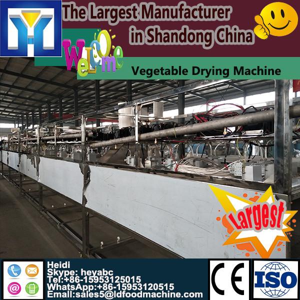 300-2500 kg batch type fish,squid drying oven,sea cucumber dehydrator #1 image