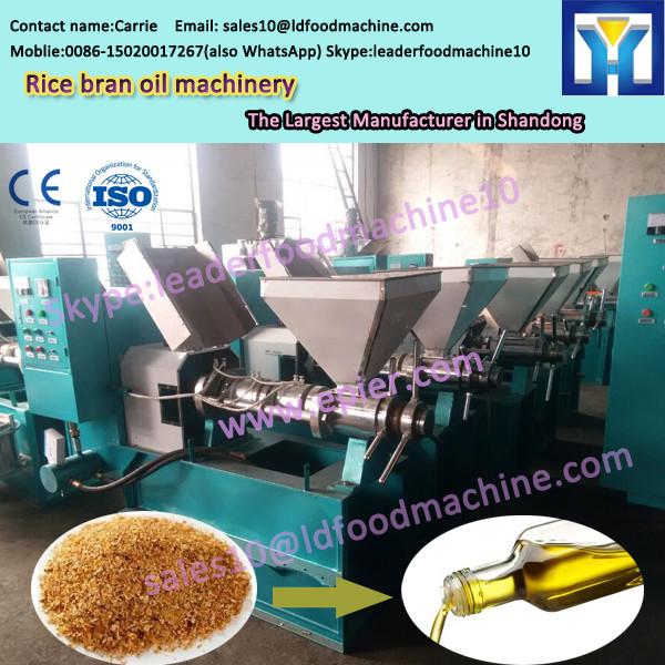 Made in Henan low price low consumption for home peanut oil press mill #1 image