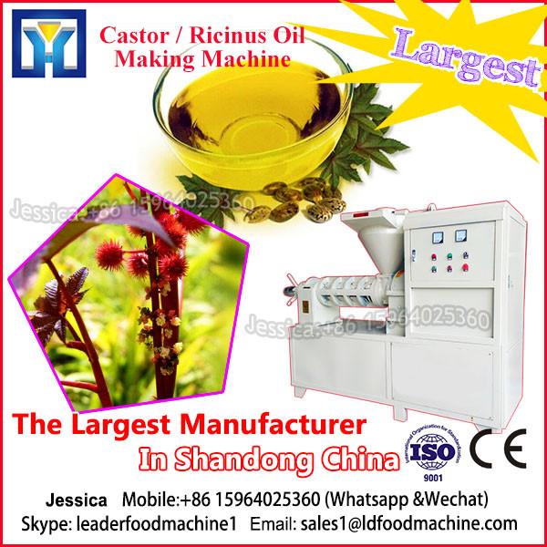 Automatic and hot sales peanut seed oil extractor #1 image