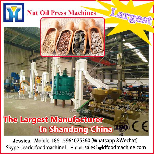 Screw Type Automatic peanut oil making machine|Small cold press oil plant #1 image
