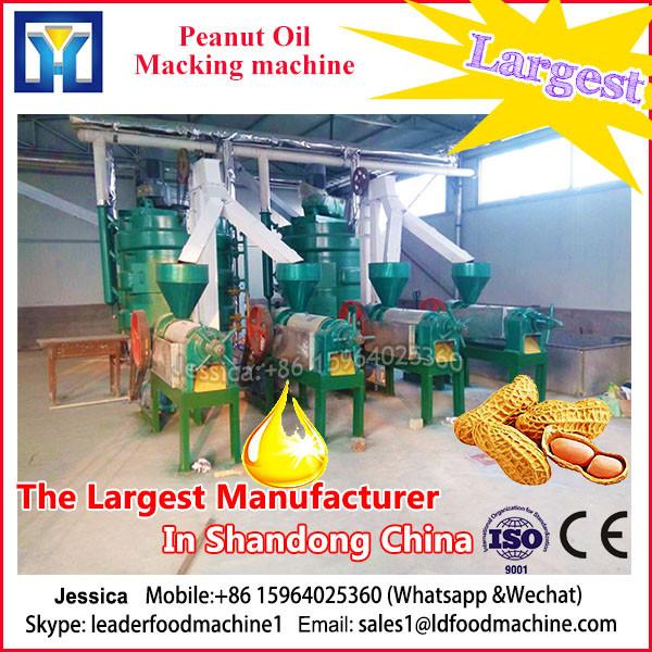 Automatic mechanical peanut seeds oil press machinery #1 image