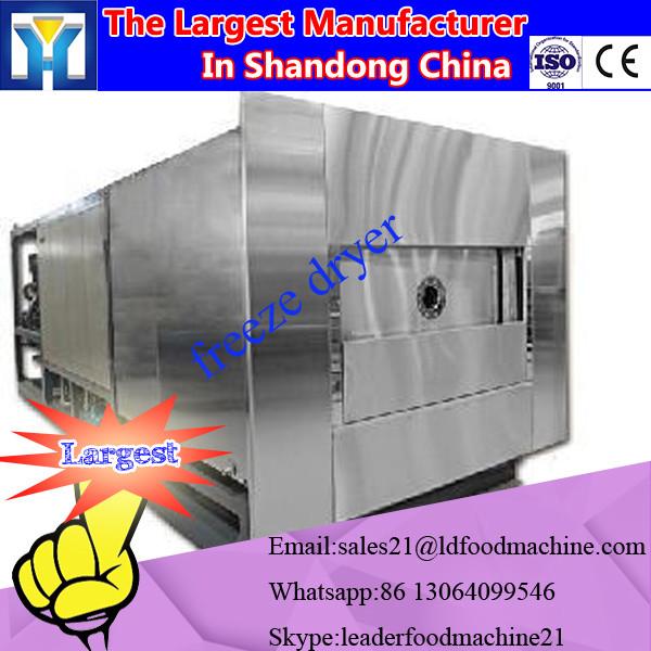 Modern best price lab instrument vacuum freeze dryer / freeze-drier fruit drying machine mini freeze dryer #1 image