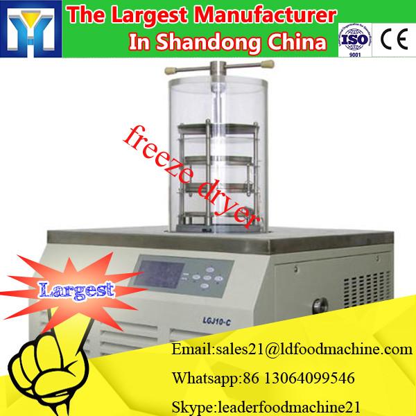 Efficient CE &amp; ISO approved Vacuum freeze dryer with LCD display dryer machine sale for food vegetable fruit #3 image