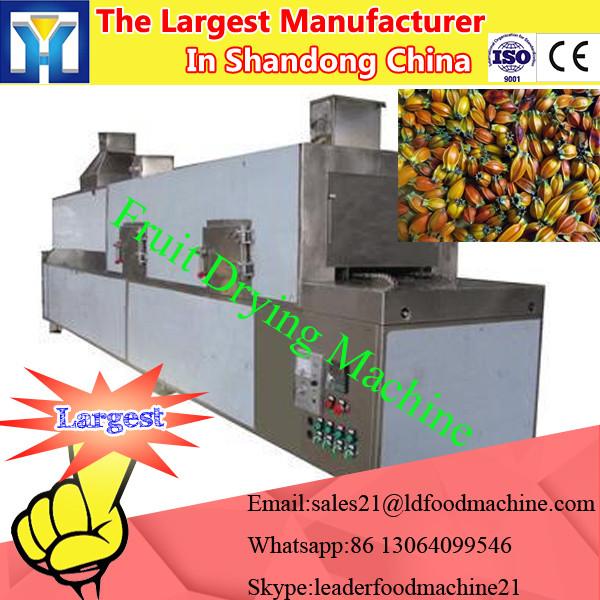 Many kinds of vegetable and fruit dryer drying oven machine #1 image