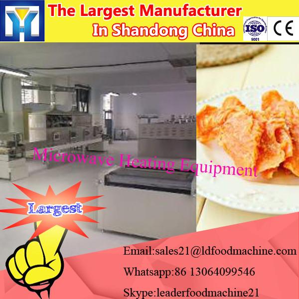 microwave equipment specialized in insects drying #3 image