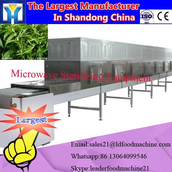 Household Fruits And Vegetables Vacuum Drying Machines/0086-13283896221 #2 image