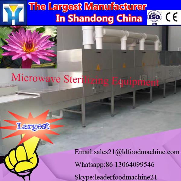 China Automatic Industrial Bean Drying Microwave Oven #1 image