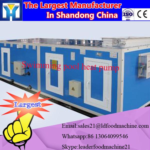 Household Fruits And Vegetables Vacuum Drying Machines/0086-13283896221 #1 image
