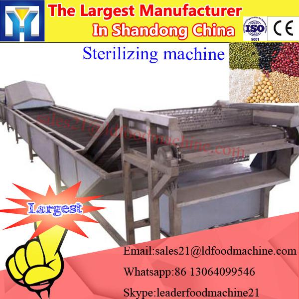 China good effect scallion mcirowave drying equipment #2 image