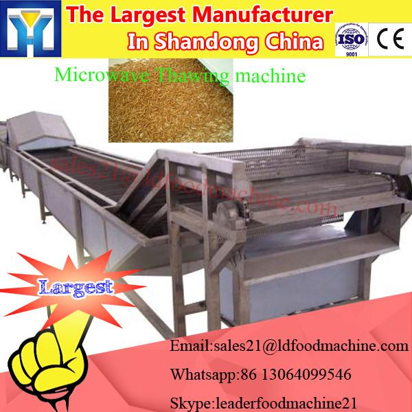 Industrial belt type microwave honey suckle dryer with CE #2 image