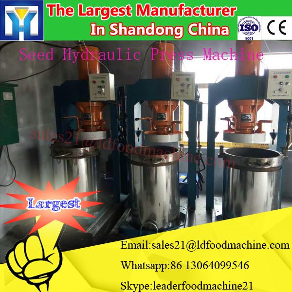 Multi functional new design cold press peanut oil press machine with CE #1 image